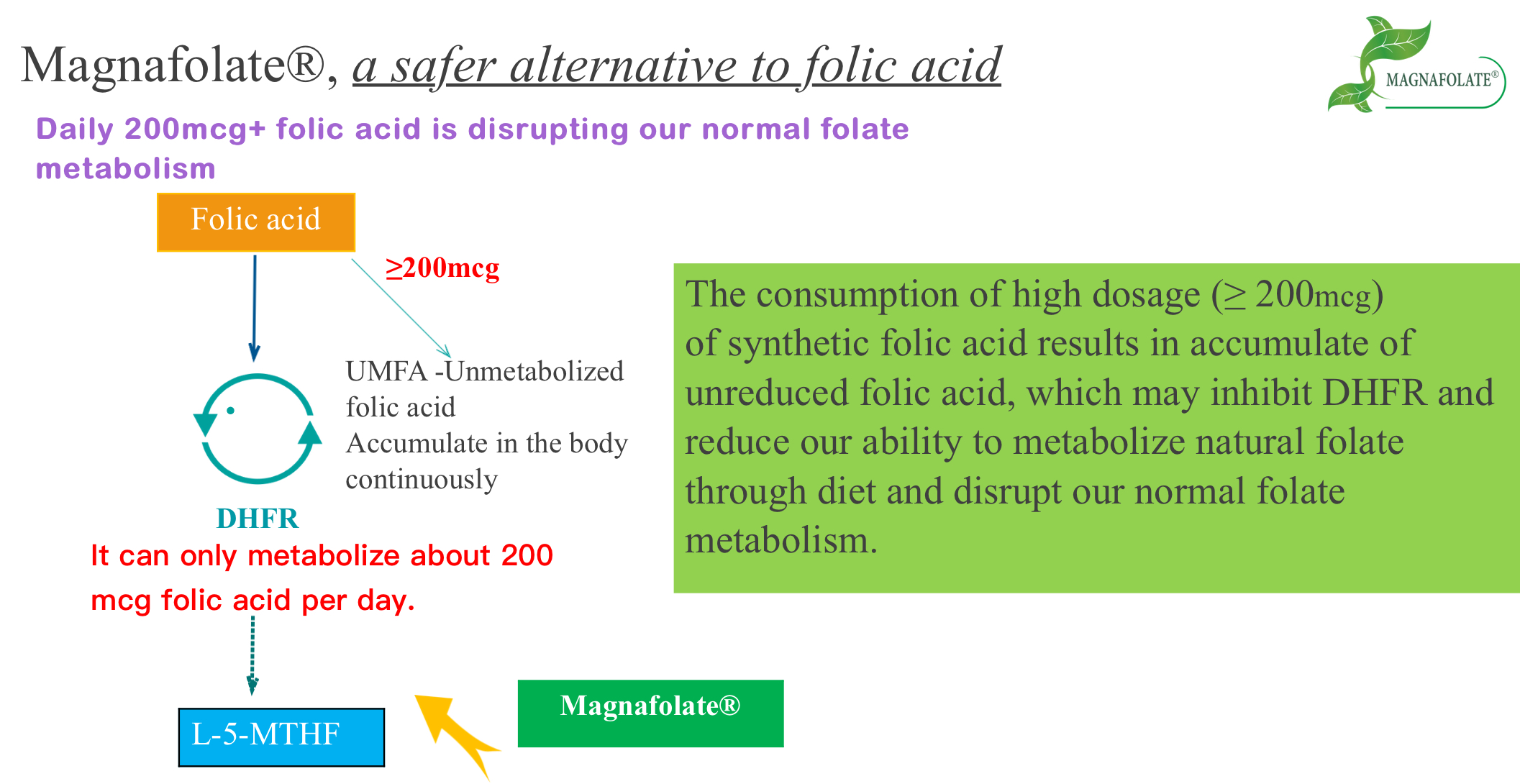 Magnafolate, bezpečnější alternativa kyseliny listové