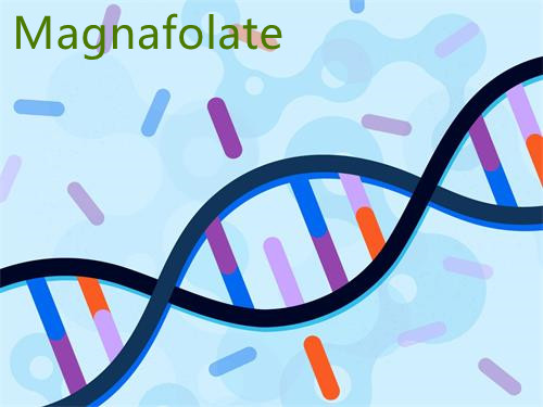 L-5-methylfolát | Pomozte lidem s mutací genu MTHFR