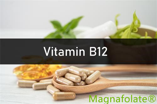 Vitamin B12: Úvod, Přínos, Zdraví