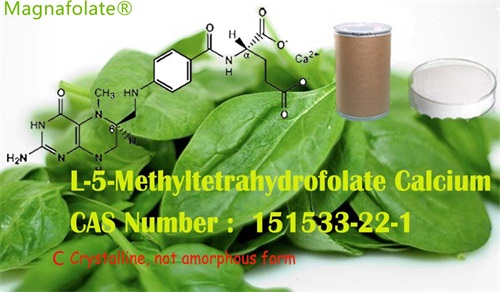 Jsou L-5-methyltetrahydrofolát a kyselina listová totéž?