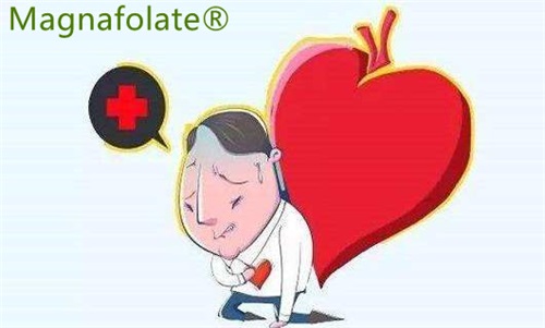 L-5-Methylfolát: Může snížit riziko mrtvice a srdečního infarktu