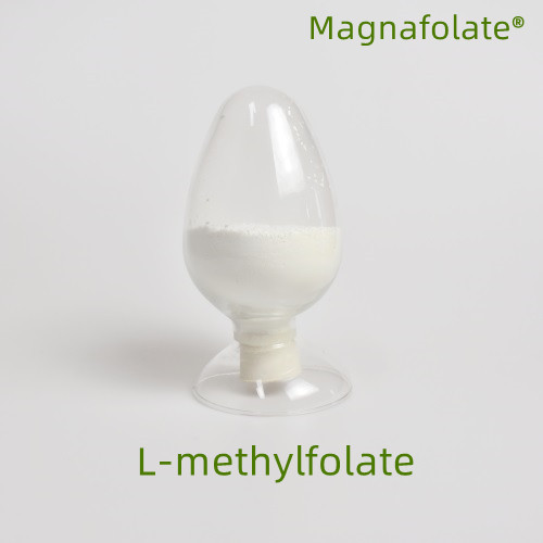 Co je l-methylfolát?