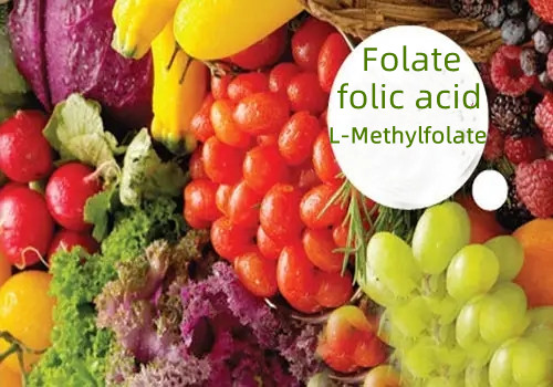 Folát (kyselina listová) a L-methylfolát