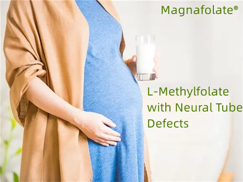 Folát, L-methylfolát s defekty neurální trubice