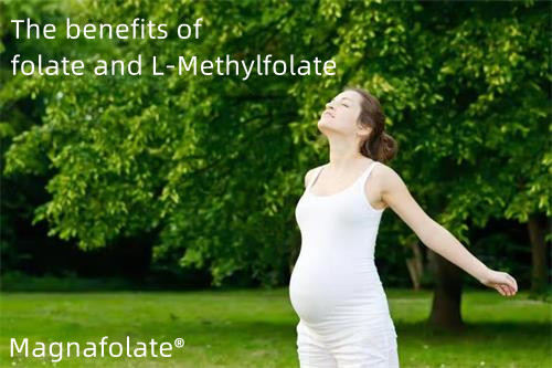 Výhody folátu a L-methylfolátu