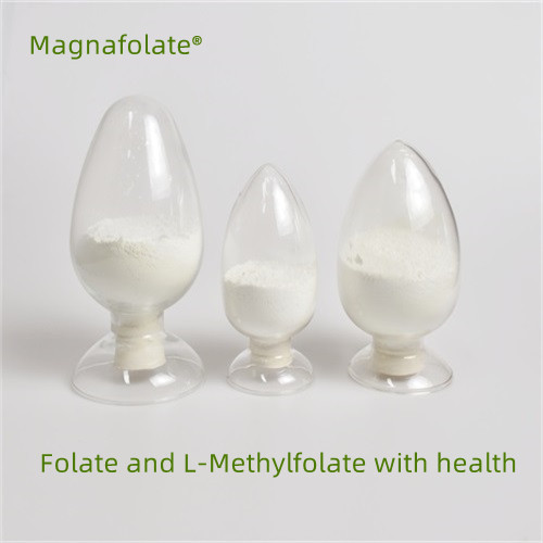 Folát a L-methylfolát se zdravím