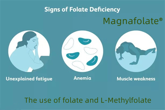 Použití folátu a L-methylfolátu