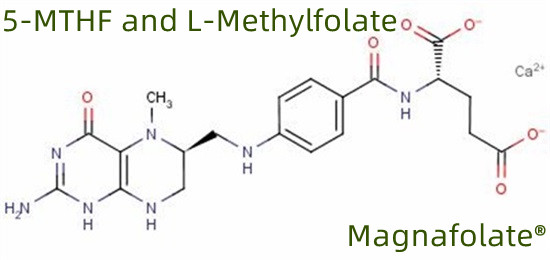 5-MTHF a L-methylfolát