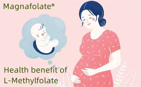 Prevence defektů neurální trubice pomocí l-methylfolátu