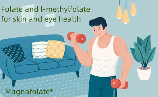 Folát a l-methylfolát pro zdraví kůže a očí