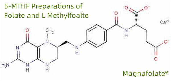 5-MTHF Přípravky Folate a L methylfoalte