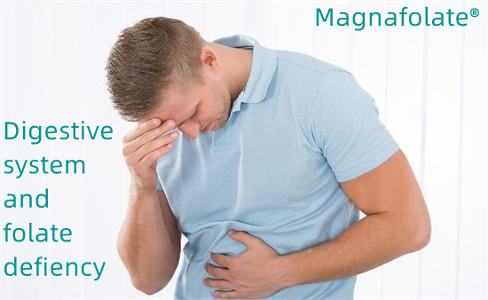 Trávicí systém a nedostatek folátu-Magnafolát