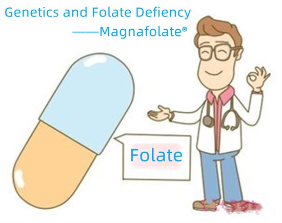 Genetika a nedostatek folátů-magnafolát