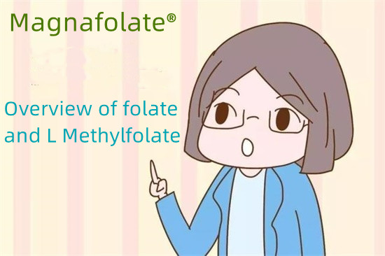 Přehled folátu a L methylfolátu