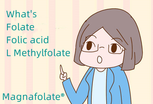 Co je folát a kyselina listová a L methylfolát?