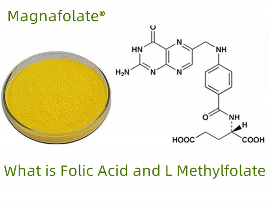 Co je folát-kyselina listová-L-methylfolát?