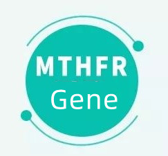 Co to znamená, když máte gen MTHFR?