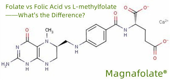 Folát vs kyselina listová vs L-methylfolát - jaký je rozdíl