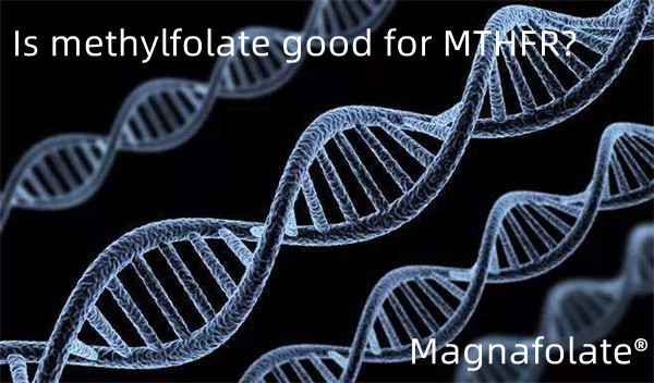 Je methylfolát dobrý pro MTHFR?