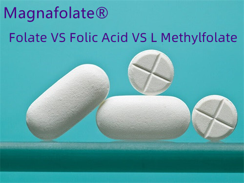Kyselina listová vs. Folát: Co je lepší?