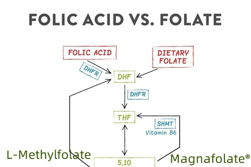 Jaká je nejlepší forma folátu?