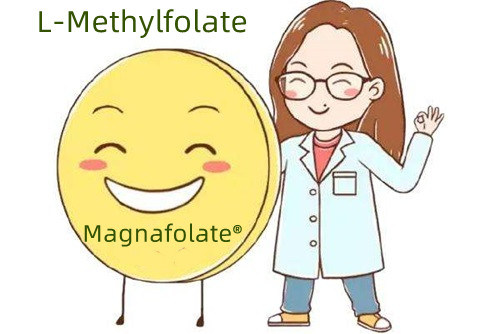 Proč je methylfolát lepší než kyselina listová?