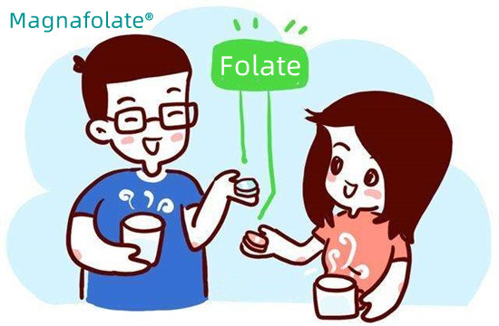 Kolik folátu byste měli denně přijmout?