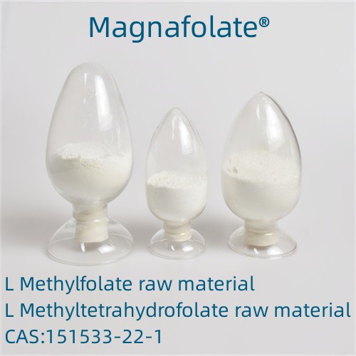 Magnafolát L-5-methylfolát 151533-22-1