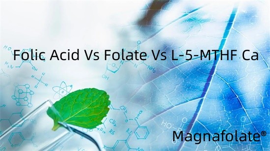 Kyselina listová versus folát versus L-5-MTHF Ca
