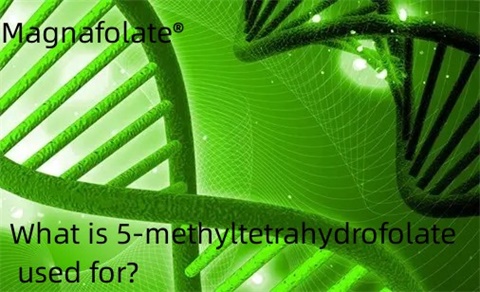 K čemu se 5-methyltetrahydrofolát používá?