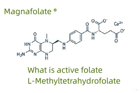 Co je aktivní folát a L-methyltetrahydrofolát