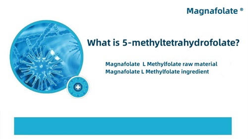 Co je 5-methyltetrahydrofolát?