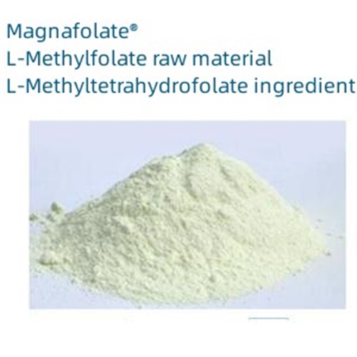 Klíčové parametry a úvod L-5-methylfolátu vápenatého