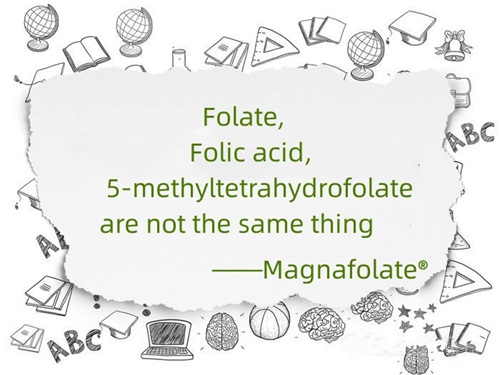 Folát, kyselina listová a 5-methyltetrahydrofolát nejsou totéž