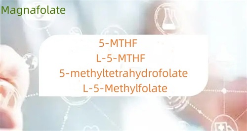 Jaký je rozdíl mezi 5-methyltetrahydrofolátem a folátem