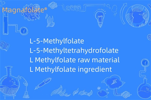 Co dělá L methylfolate?