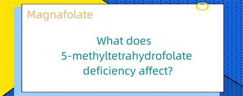 Co ovlivňuje nedostatek 5-methyltetrahydrofolátu?