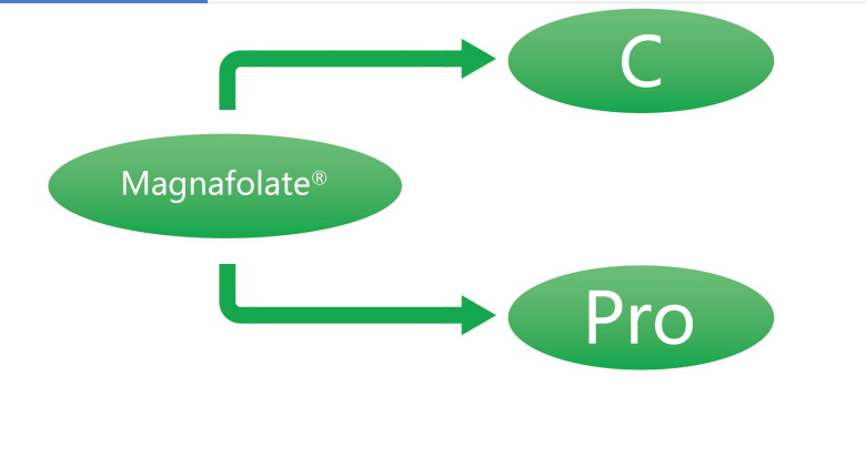 Magnafolát C a Pro-L-methylfolát vápenatý