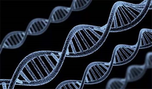 Abnormální genotypy enzymů metabolizujících folát jsou hlavní příčinou poruch metabolismu folátu