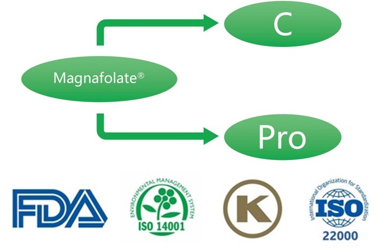 Co je L-5-methyltetrahydrofolát vápenatý? Jací jsou dodavatelé?