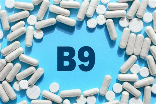 Úloha L-5-methyltetrahydrofolátu vápenatého - Magnafolátu