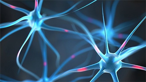 Proč může nedostatek kyseliny listové vést k neurologickým problémům