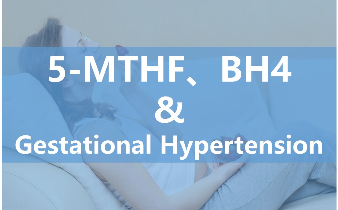 Dopad 6S-5-methyltetrahydrofolátu na funkci endoteliálních buněk během těhotenství a jeho potenciál při léčbě gestační hypertenze