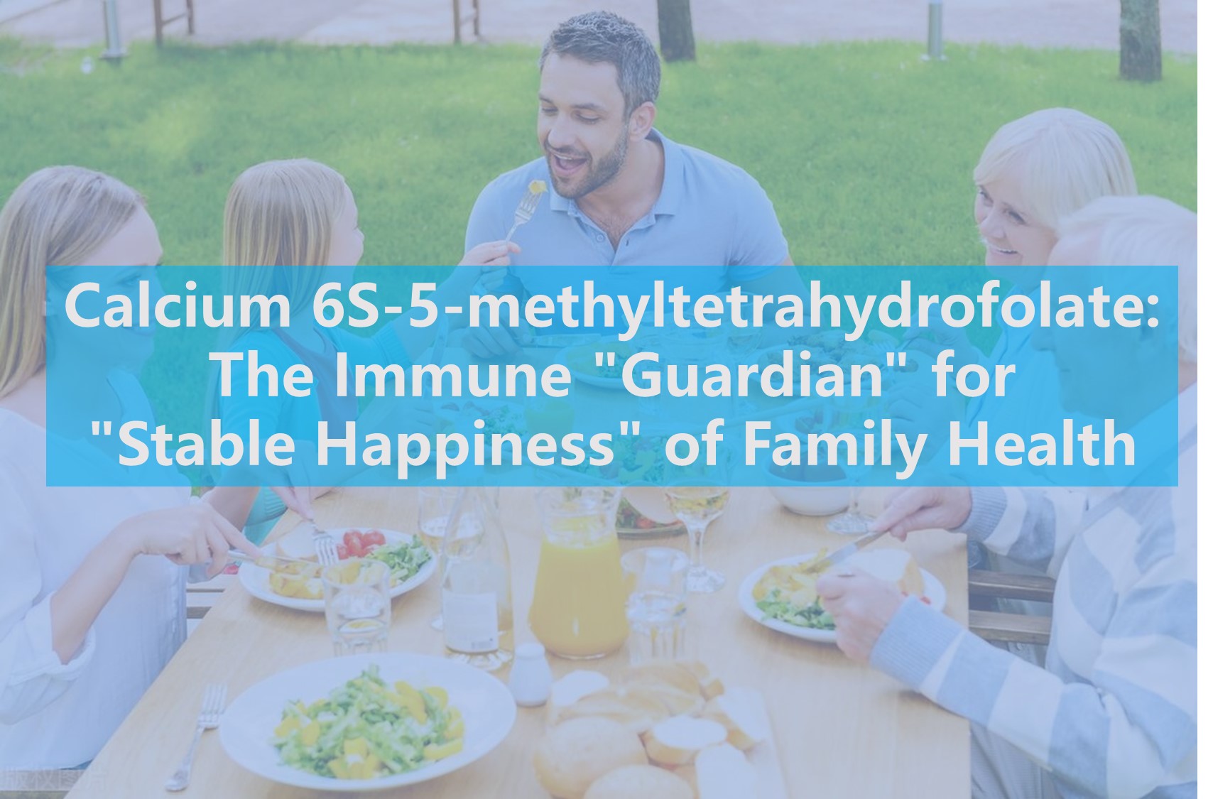 Vápník 6s-5-methyltetrahydrofolát: Imunitní „strážce“ pro „stabilní štěstí“ zdraví rodiny